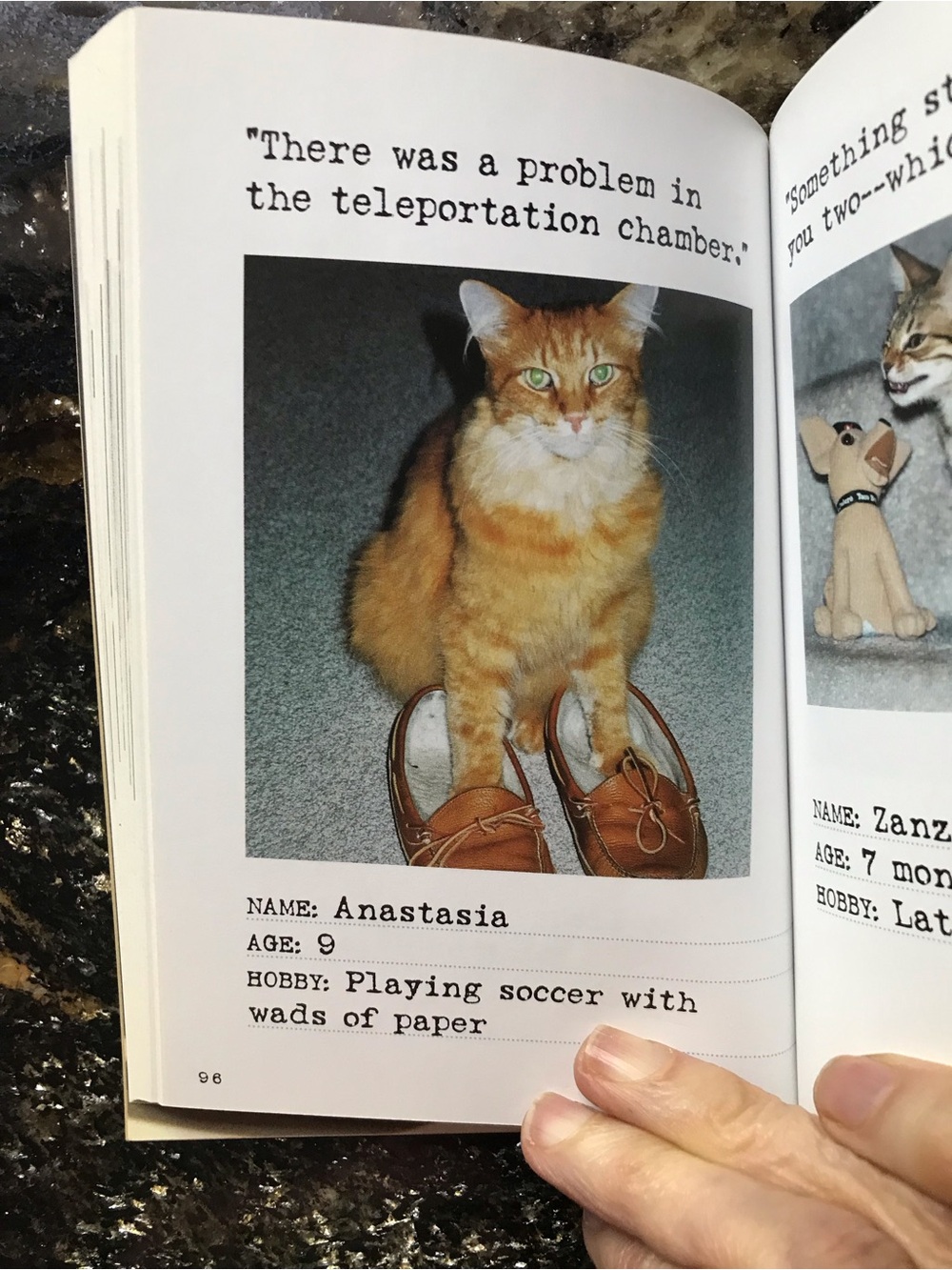 Bad Cat Book - Picture 8 of 10